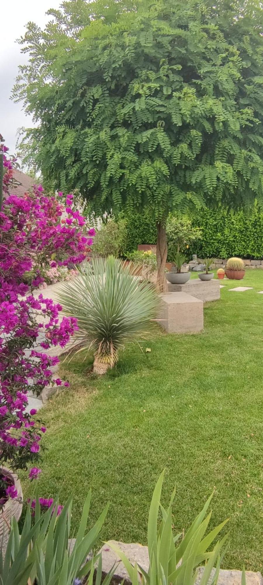 Bel Giardino Διαμέρισμα FDH Εξωτερικό φωτογραφία