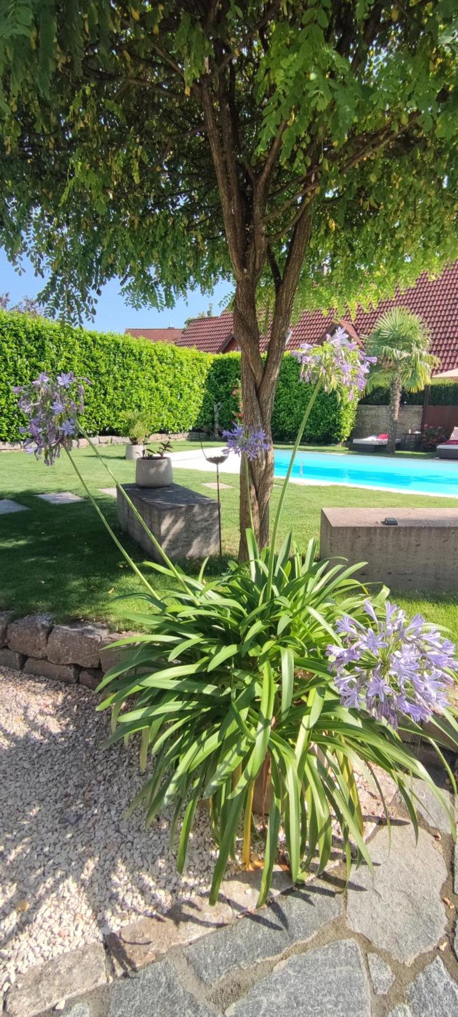 Bel Giardino Διαμέρισμα FDH Εξωτερικό φωτογραφία