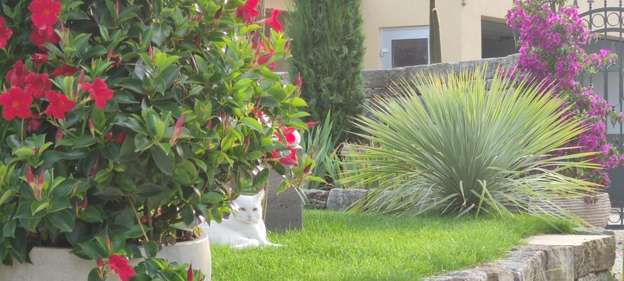 Bel Giardino Διαμέρισμα FDH Εξωτερικό φωτογραφία